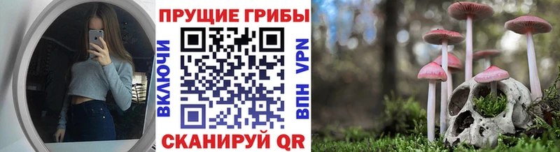 Галлюциногенные грибы Psilocybine cubensis Талдом