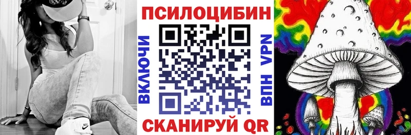 хочу наркоту  Талдом  Галлюциногенные грибы мицелий 