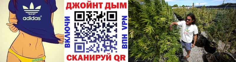 Конопля конопля  наркотики  Талдом 